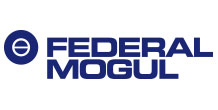 Federal-Mogul-218x110