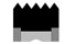 n31_logo