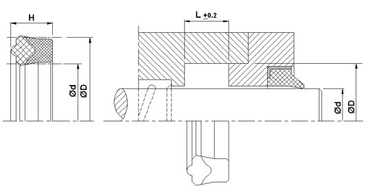 n24_tek
